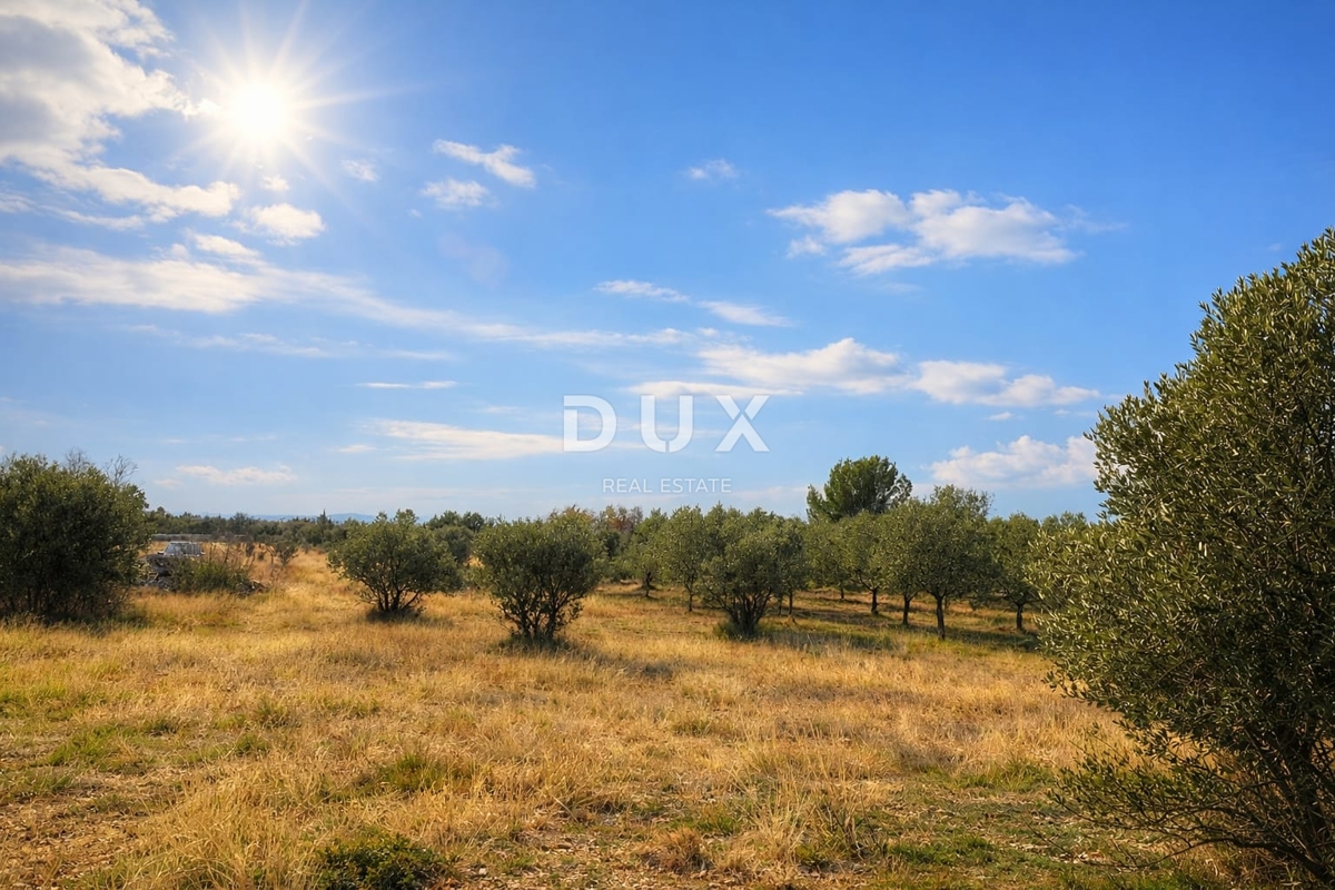 ISTRIA, VODNJAN – Terreno agricolo