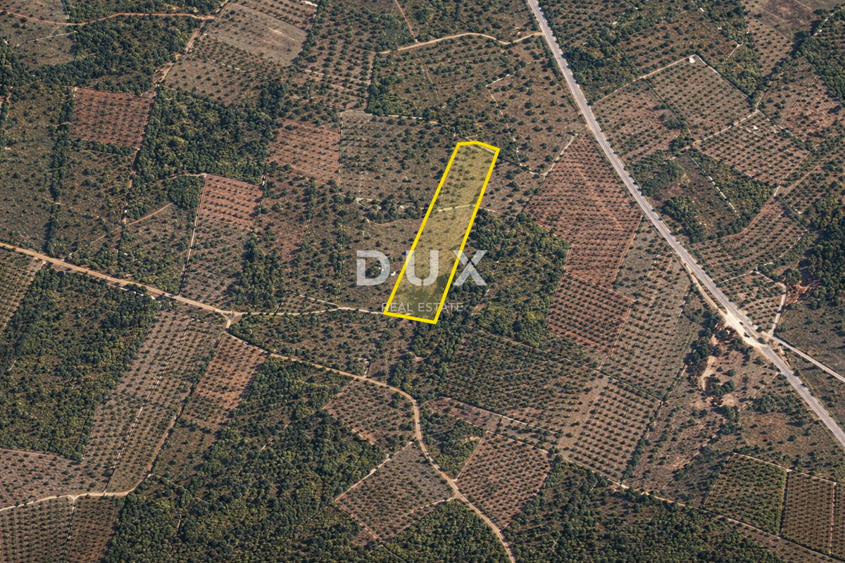 ISTRIA, VODNJAN – Terreno agricolo