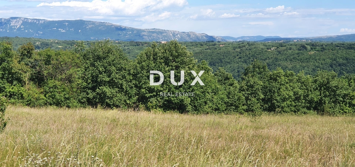 ISTRIA, PEDANA - Terreno con costruzione di due case, ai margini del villaggio, vista sulla natura