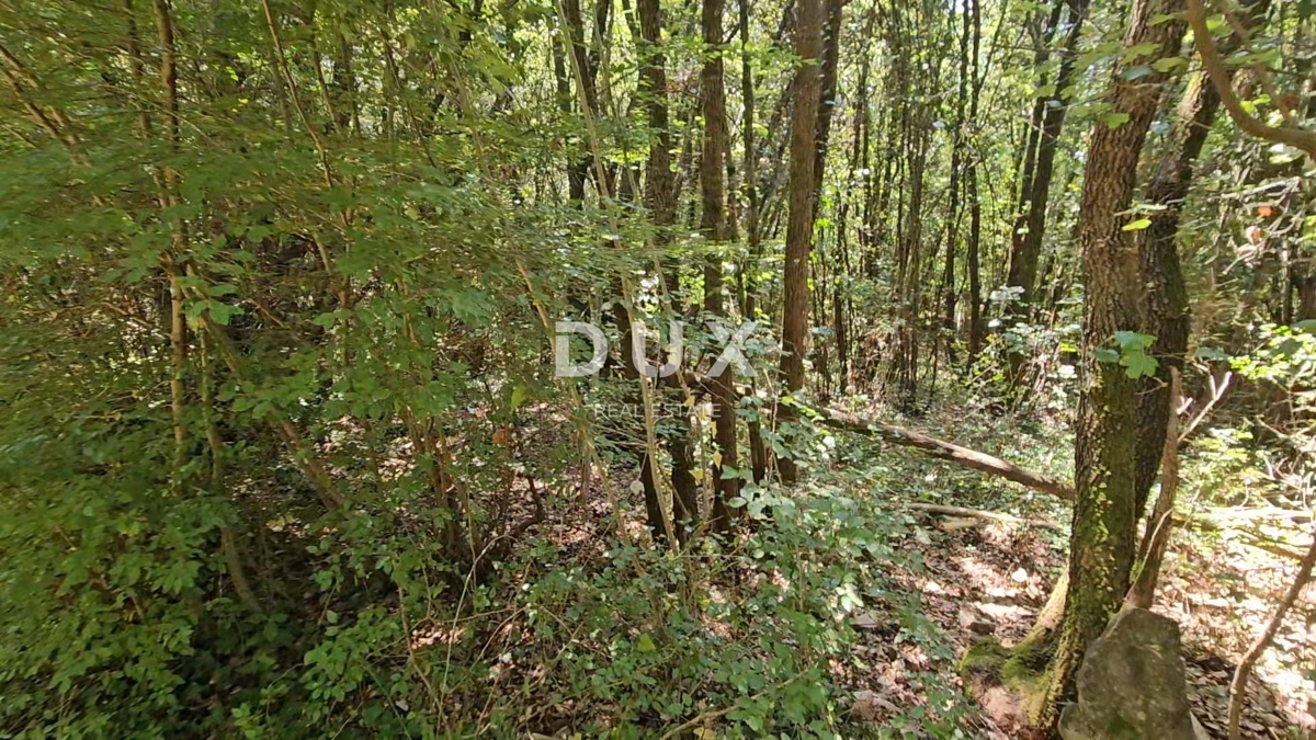 Terreno Pavićini, Marčana, 14.670m2