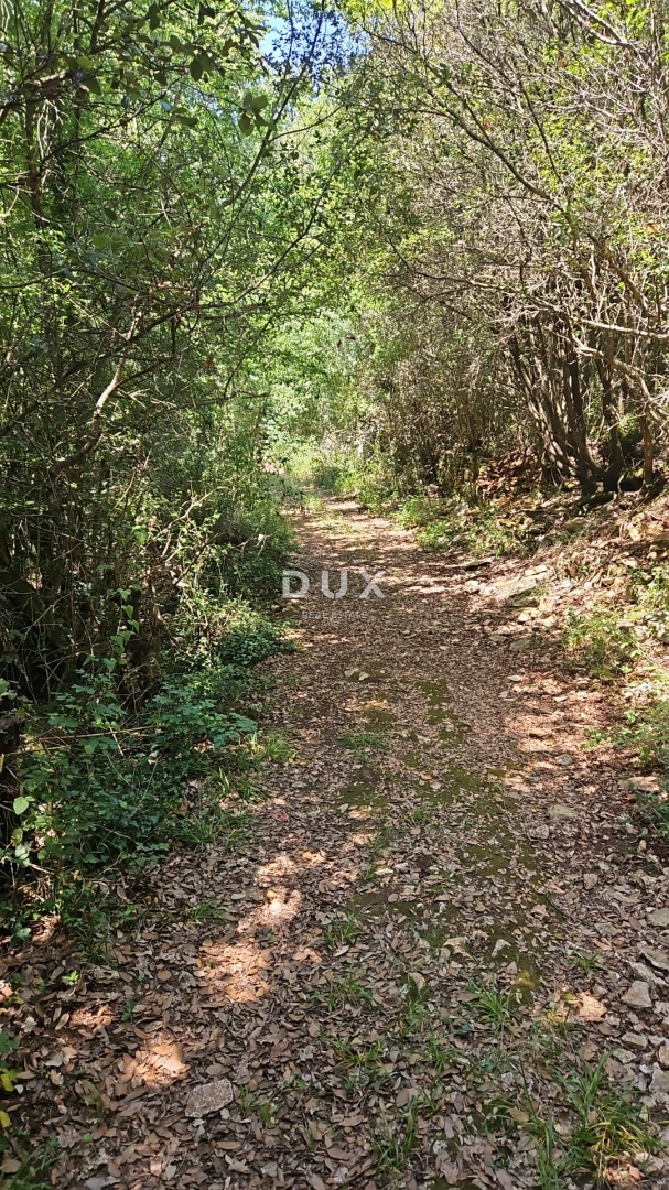 Terreno Pavićini, Marčana, 14.670m2