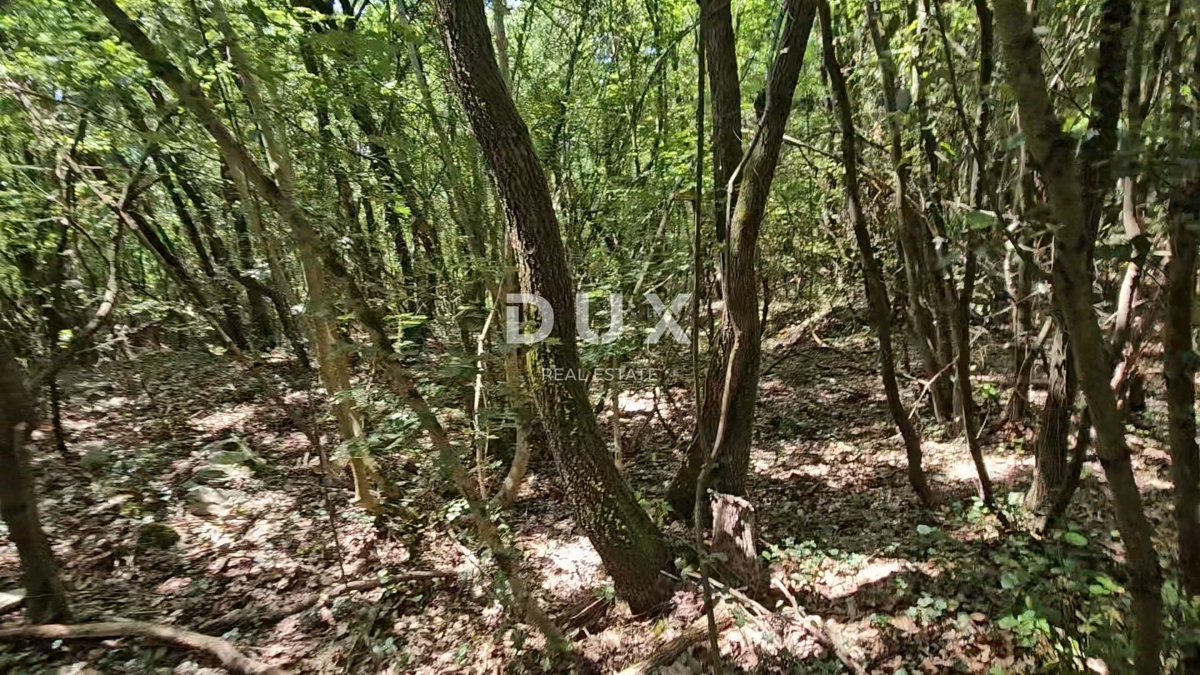 Terreno Pavićini, Marčana, 14.670m2