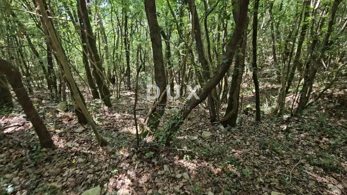 Terreno Pavićini, Marčana, 14.670m2