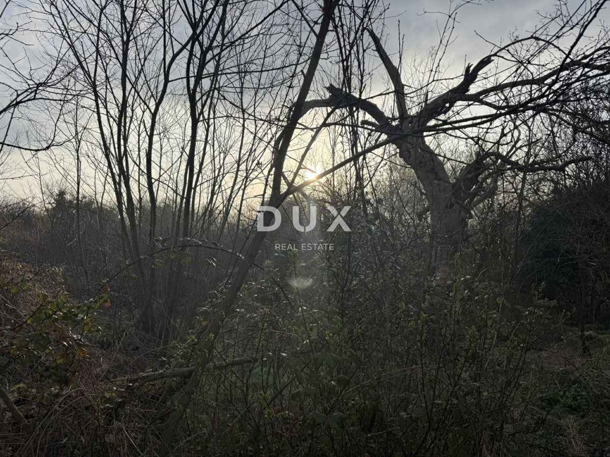 ISTRIA, LABIN - Terreno con edifici segnalati