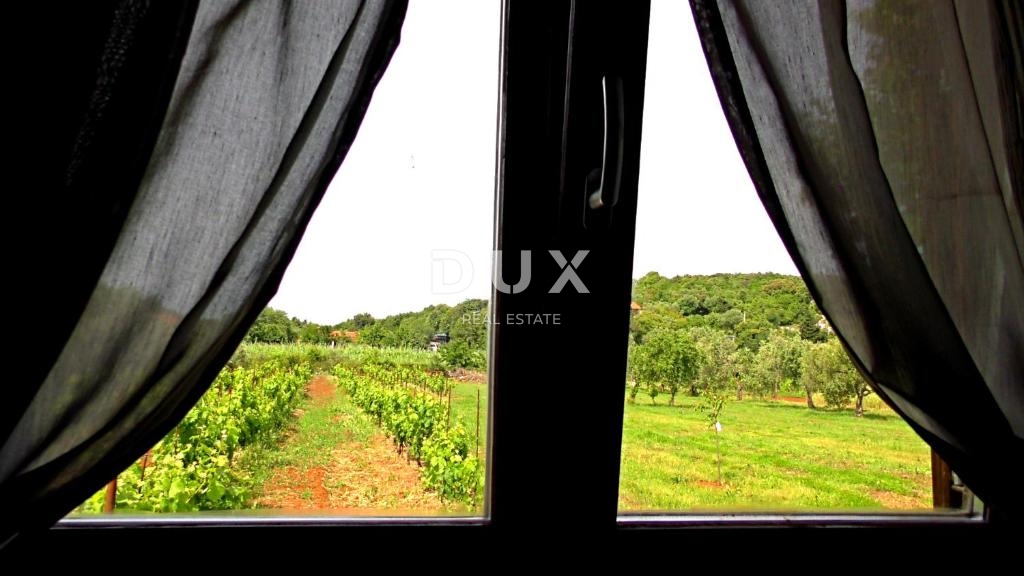 ISTRIA, ROVINJ - Casa con ampio giardino in posizione tranquilla vicino al mare