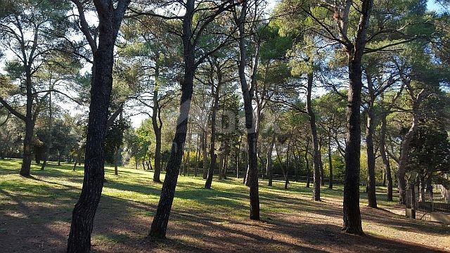 ROVINJ - terreno edificabile per hotel / boutique hotel / motel / appartamenti / ville - case in affitto con piscina