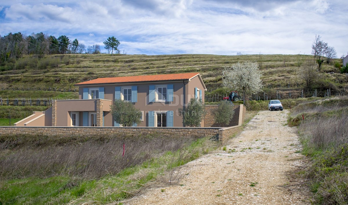 ISTRIA, MOMJAN - Bella villa con piscina e vista su vigneti e uliveti