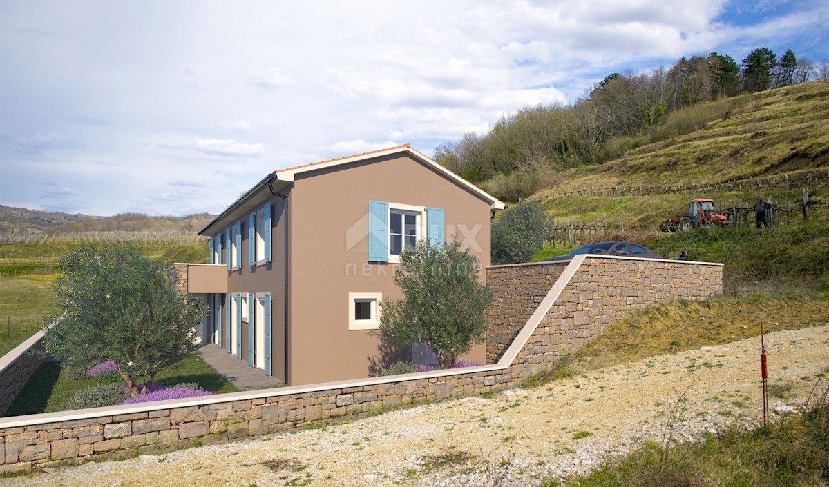 ISTRIA, MOMJAN - Bella villa con piscina e vista su vigneti e uliveti