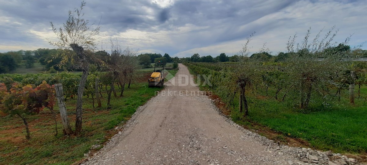 Terreno Šumber, Sveta Nedelja, 1.517m2