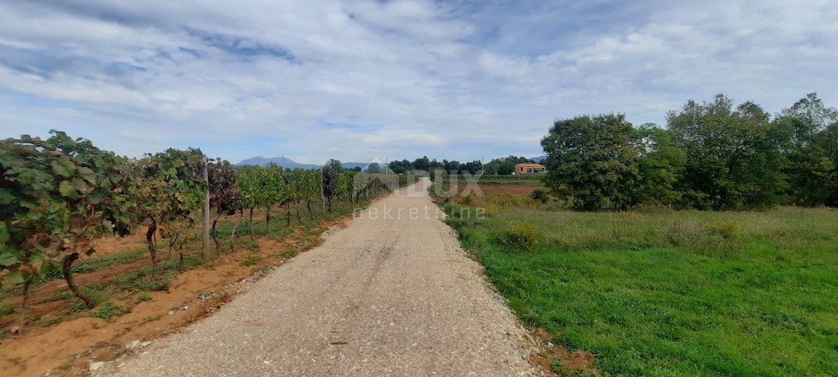 Terreno Šumber, Sveta Nedelja, 1.517m2