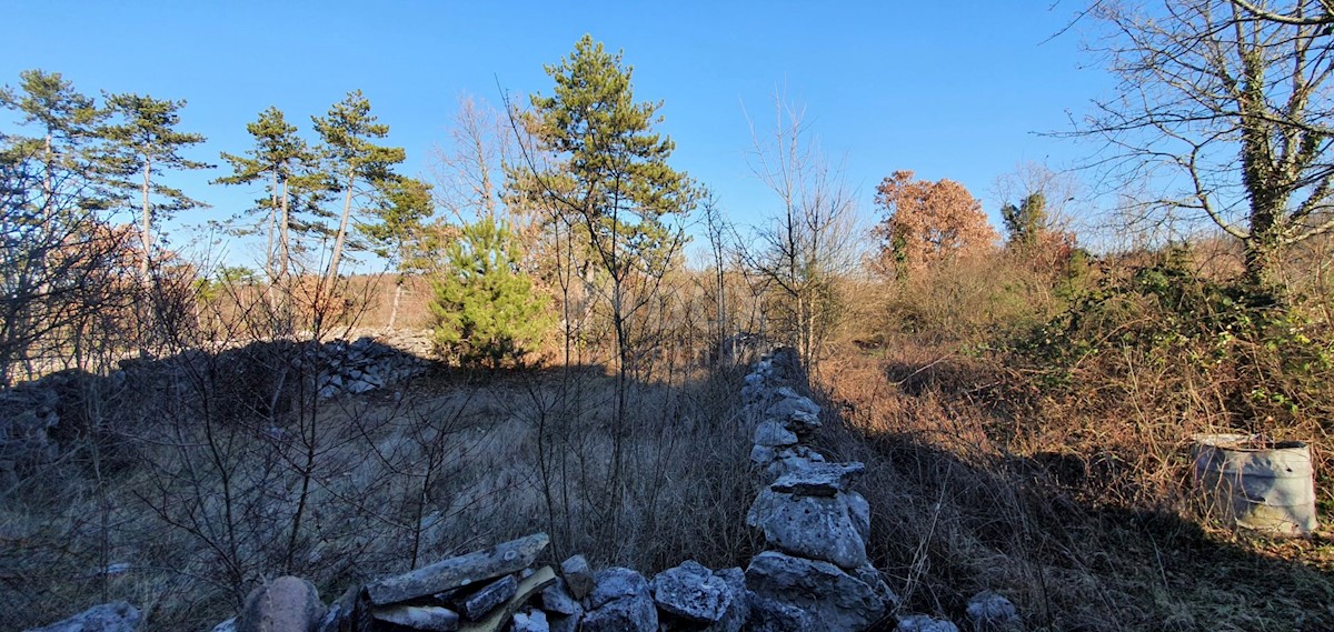 Terreno Grožnjan, 1.192m2