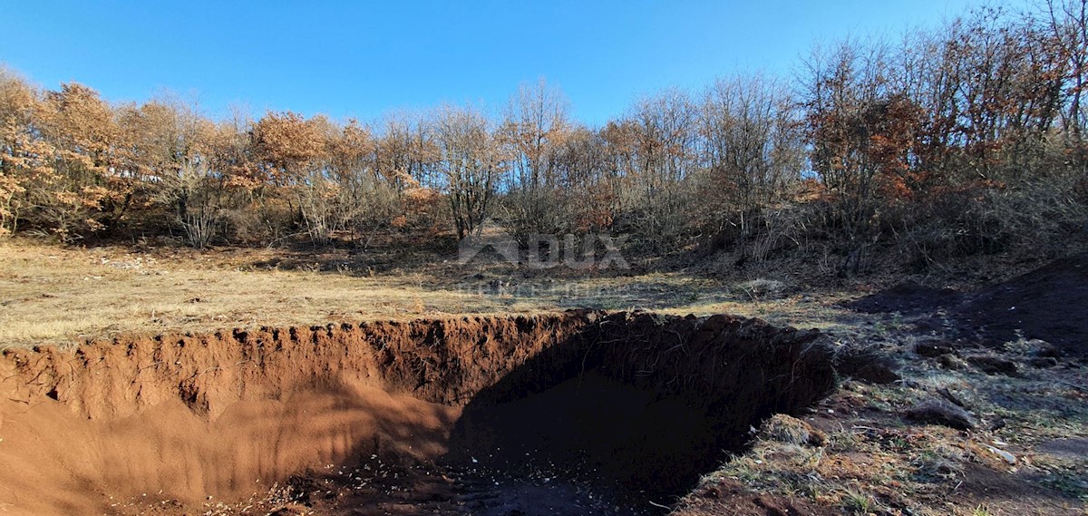 ISTRIA, SVETVINČENAT - Proprietà isolata in costruzione 27.283m2