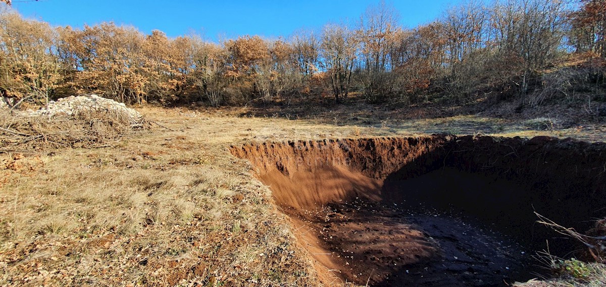 ISTRIA, SVETVINČENAT - Proprietà isolata in costruzione 27.283m2