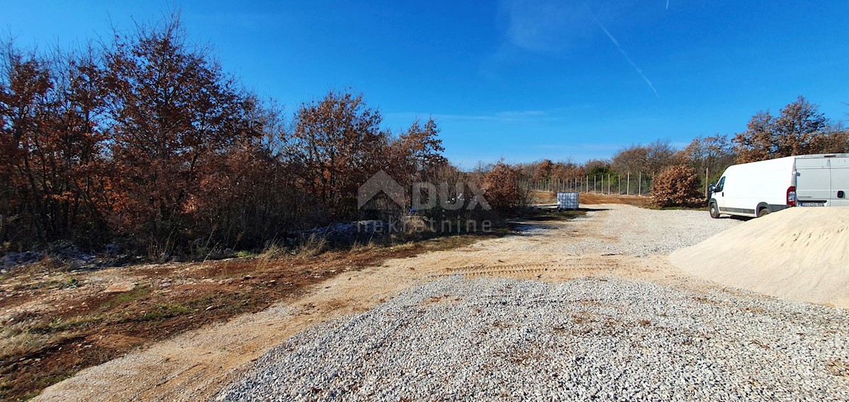 ISTRIA, SVETVINČENAT - Proprietà isolata in costruzione 27.283m2