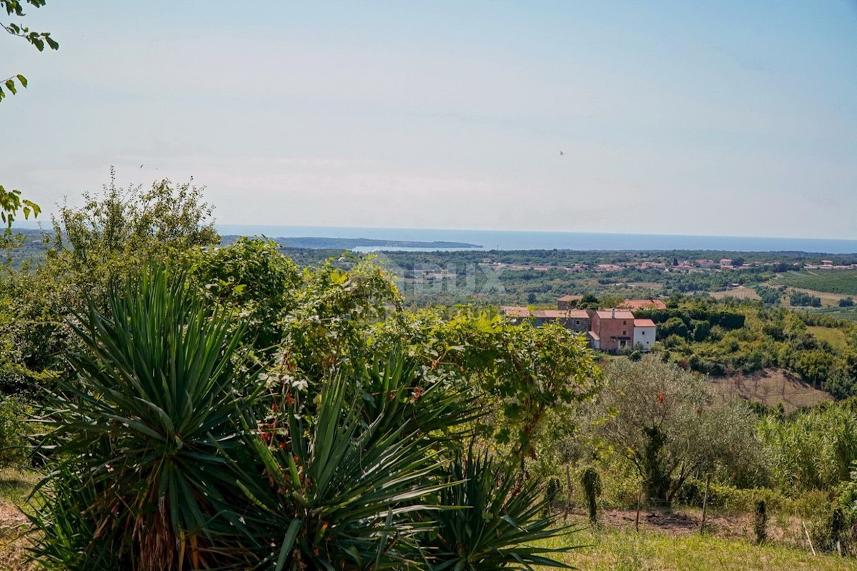 ISTRIA, BUJE - Casa in pietra con bella vista