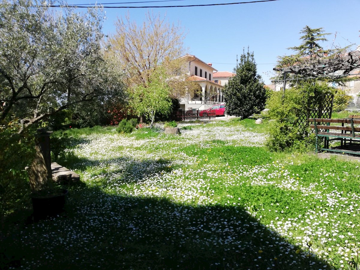 ISTRIA, BUJE - Casa in pietra con bella vista