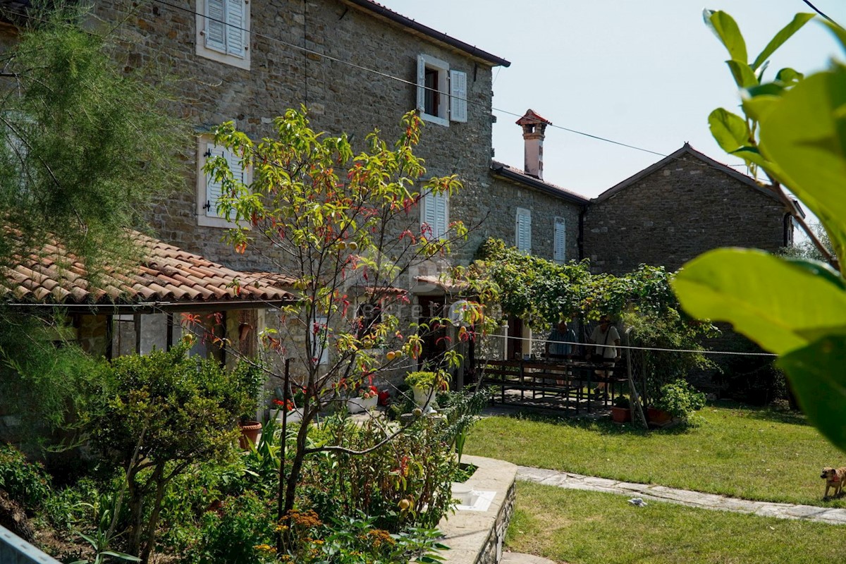 ISTRIA, BUJE - Casa in pietra con bella vista