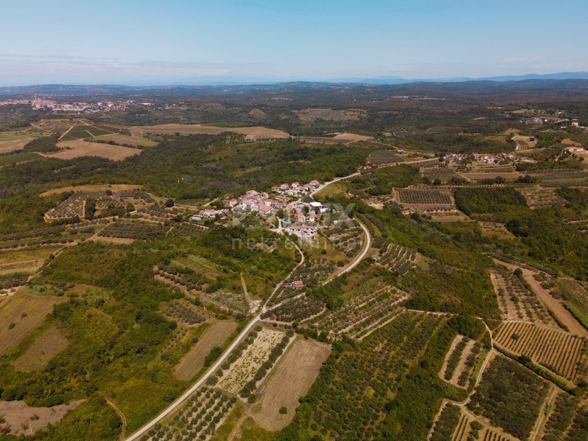 ISTRIA, BUJE - Casa in pietra con bella vista