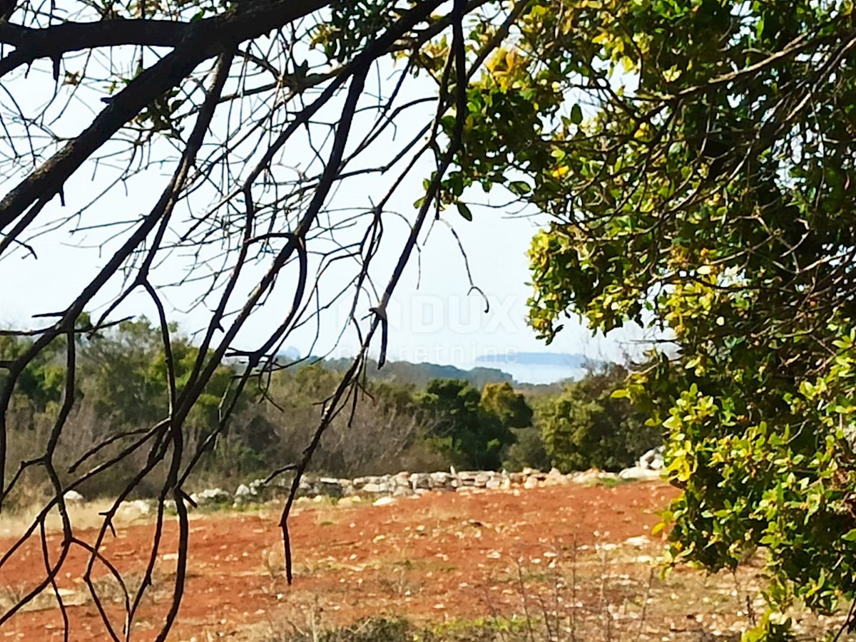 CROAZIA, ISTRIA, ROVINJ Oliveto con vista mare 15 475 m2 - 2 km DALLA SPIAGGIA !!