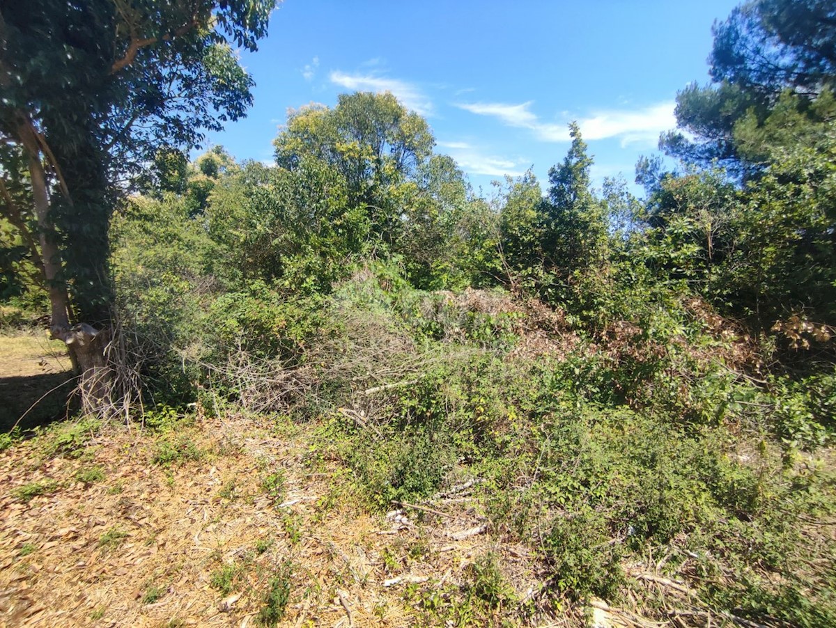 Terreno Premantura, Medulin, 1.300m2