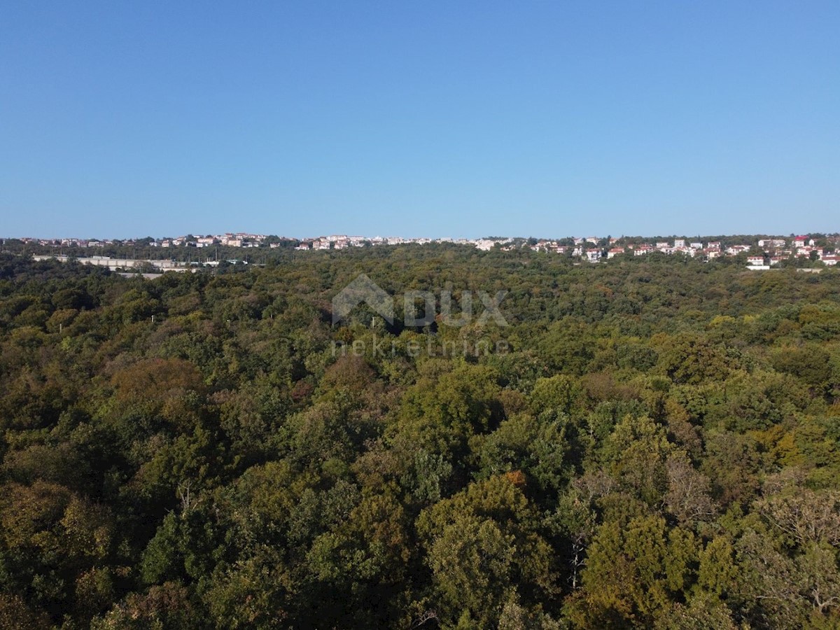 COSTABELLA, BIVIO- terreno edificabile 1573m2 con vista mare per casa bifamiliare / villa / condominio - appartamenti - appartamenti / casa in affitto - vacanza con piscina