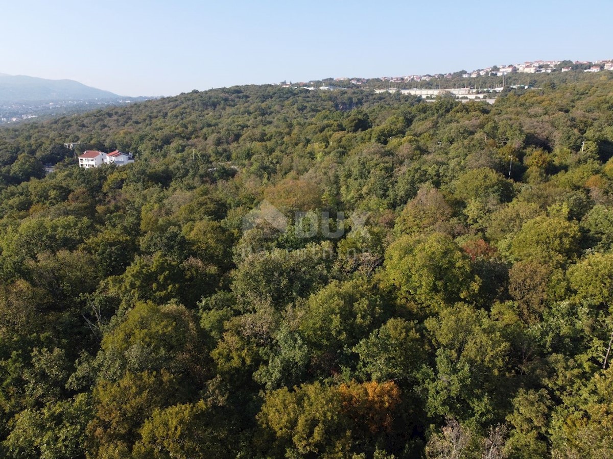 COSTABELLA, BIVIO- terreno edificabile 1573m2 con vista mare per casa bifamiliare / villa / condominio - appartamenti - appartamenti / casa in affitto - vacanza con piscina