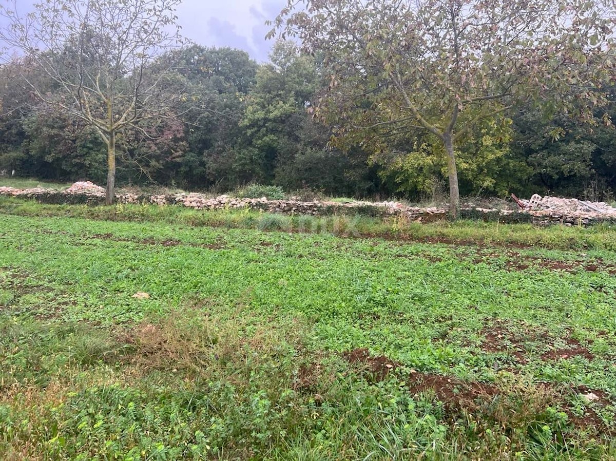 Terreno Sveti Petar u Šumi, Sveti Petar U Šumi, 2.930m2