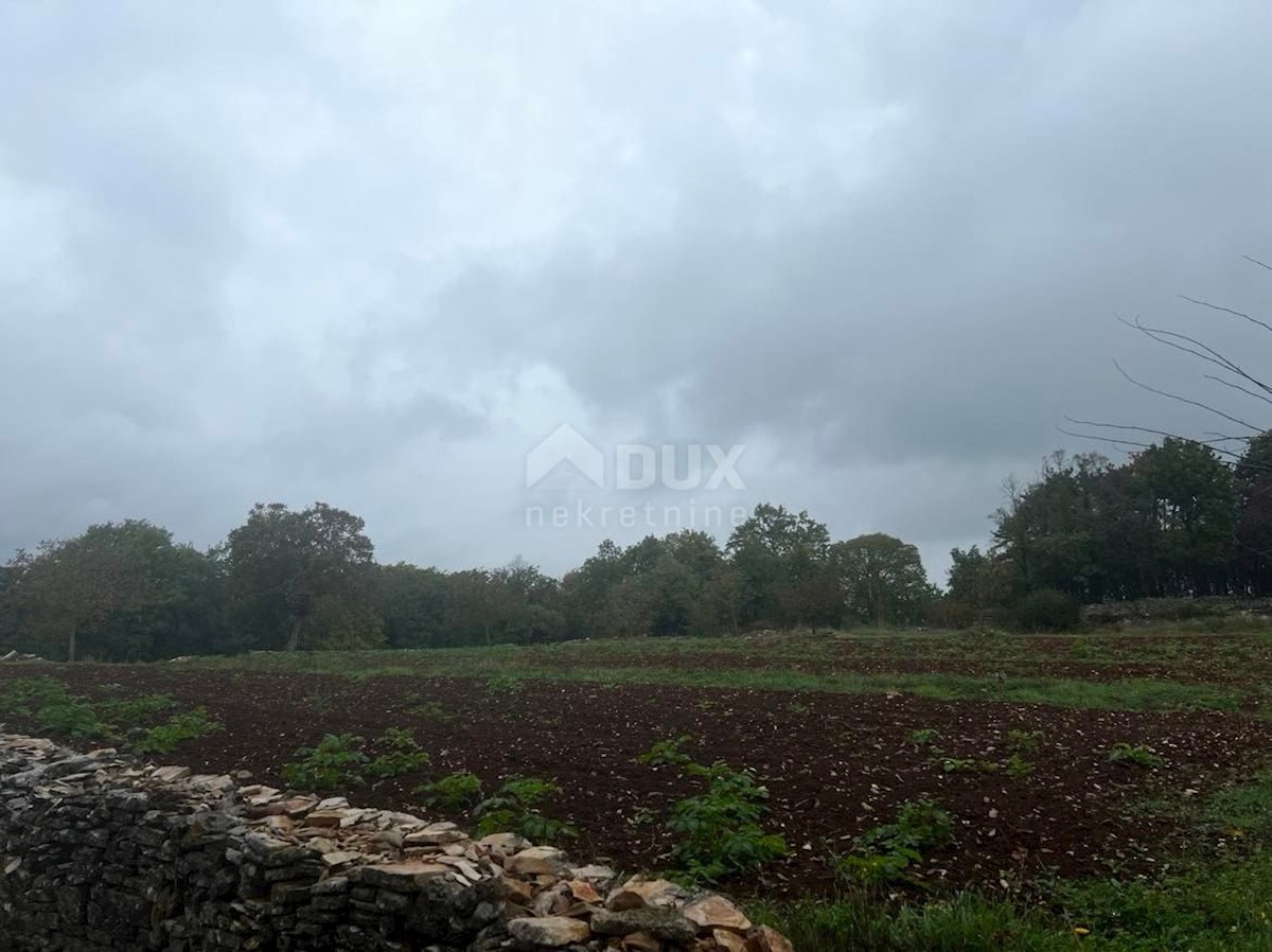 Terreno Sveti Petar u Šumi, Sveti Petar U Šumi, 2.930m2