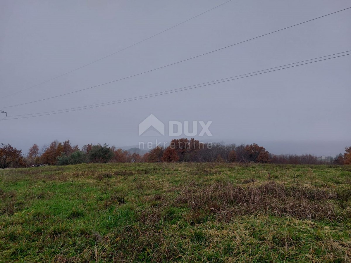 Terreno Motovun, 4.455m2