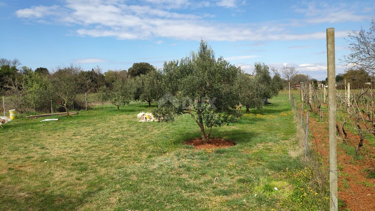 Casa Šišan, Ližnjan, 71m2