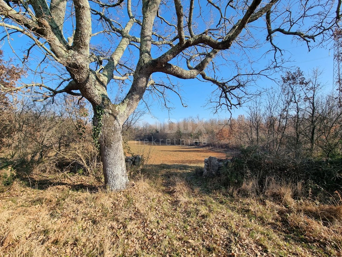 Terreno Vodnjan, 45.472m2