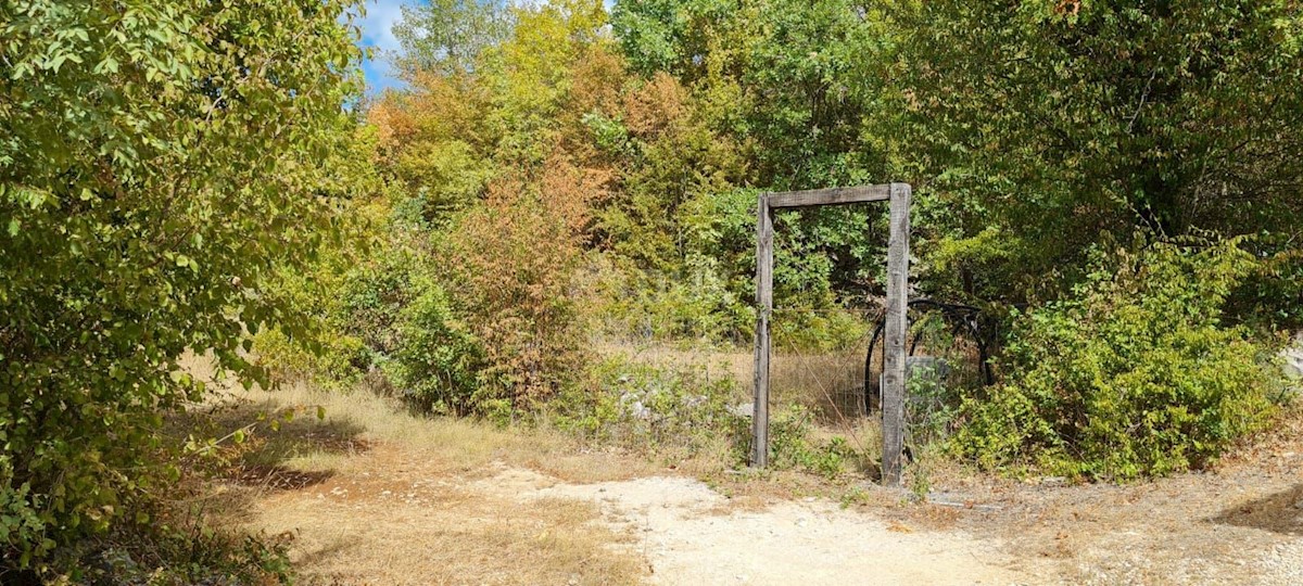 ISOLA DI KRK, KRAS - casa indipendente con giardino in posizione tranquilla