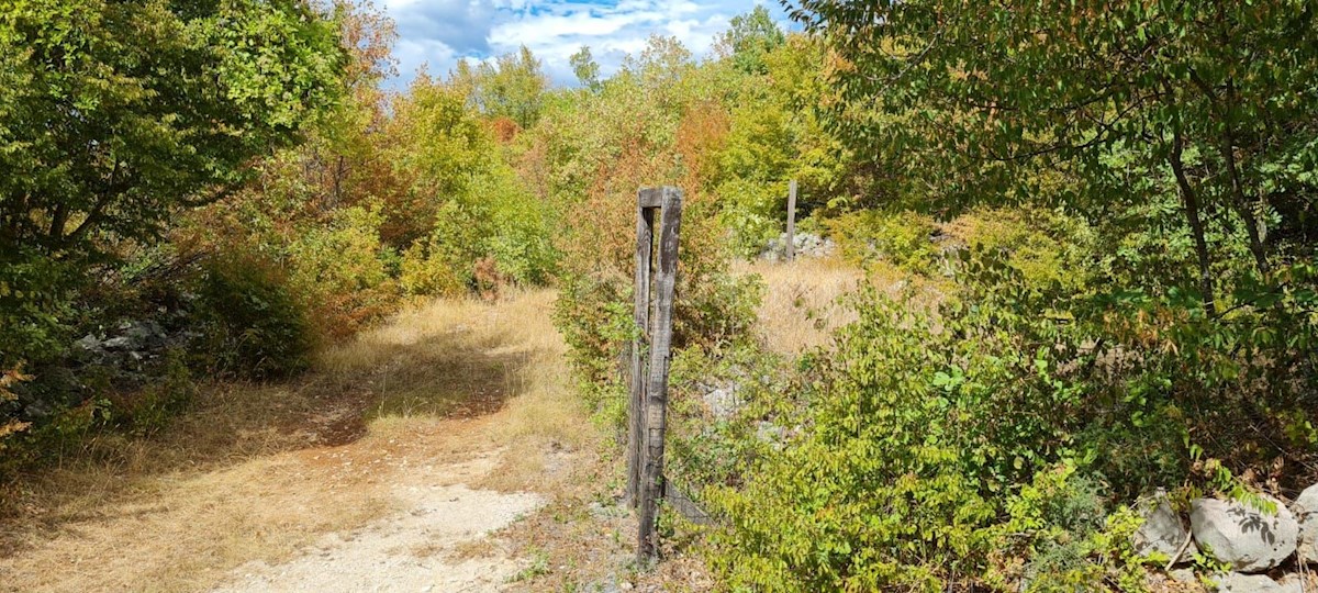 ISOLA DI KRK, KRAS - casa indipendente con giardino in posizione tranquilla