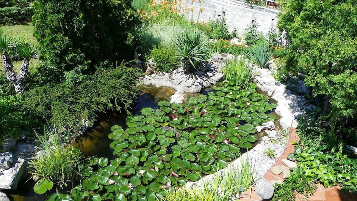 ISTRIA, ROČKO POLJE - Casa istriana ristrutturata con piscina