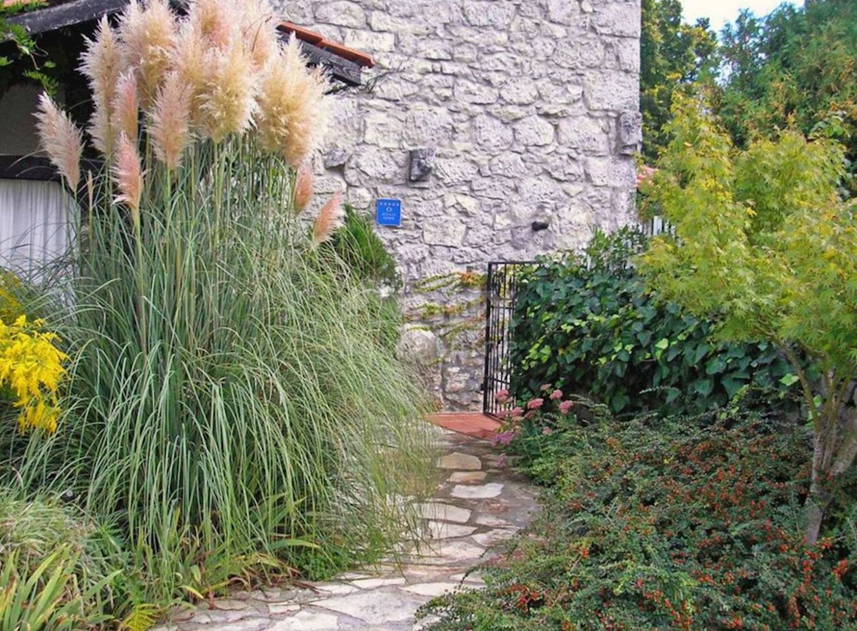 ISTRIA, ROČKO POLJE - Casa istriana ristrutturata con piscina