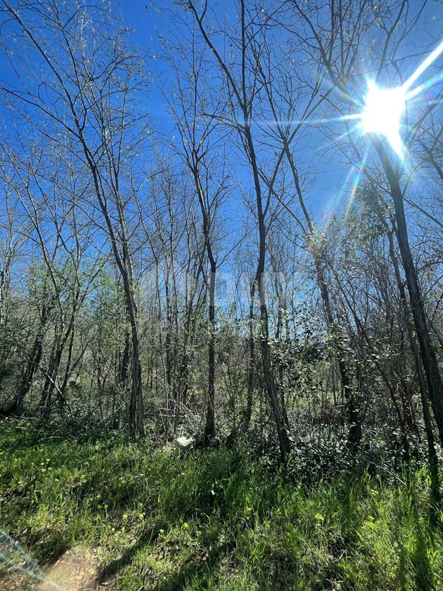 Terreno Labinci, Kaštelir-Labinci, 2.211m2