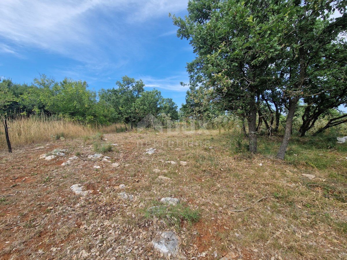 ISTRIA, KRNICA - Complesso terreno con vista mare