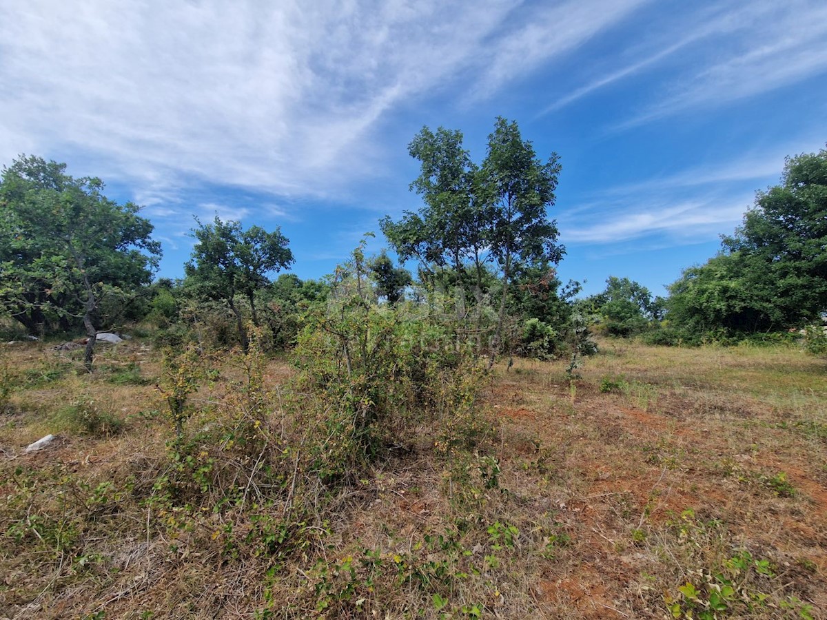 ISTRIA, KRNICA - Complesso terreno con vista mare