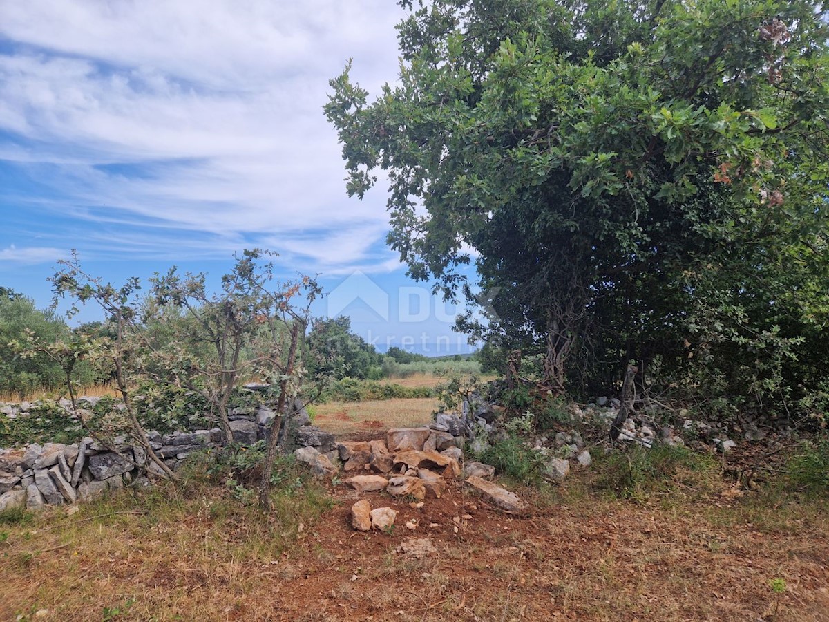 ISTRIA, KRNICA - Complesso terreno con vista mare