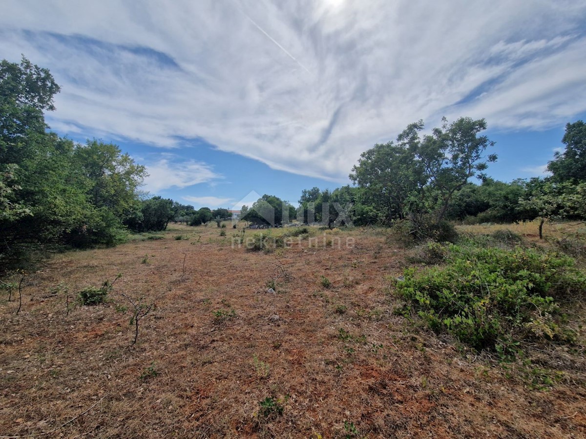 ISTRIA, KRNICA - Complesso terreno con vista mare