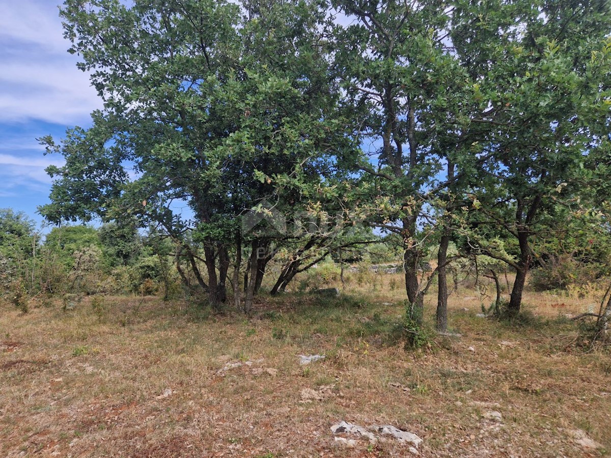 ISTRIA, KRNICA - Complesso terreno con vista mare