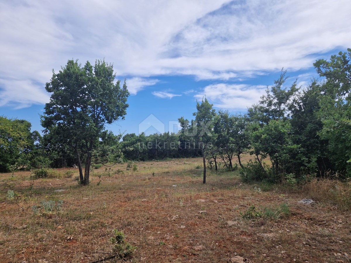 ISTRIA, KRNICA - Complesso terreno con vista mare