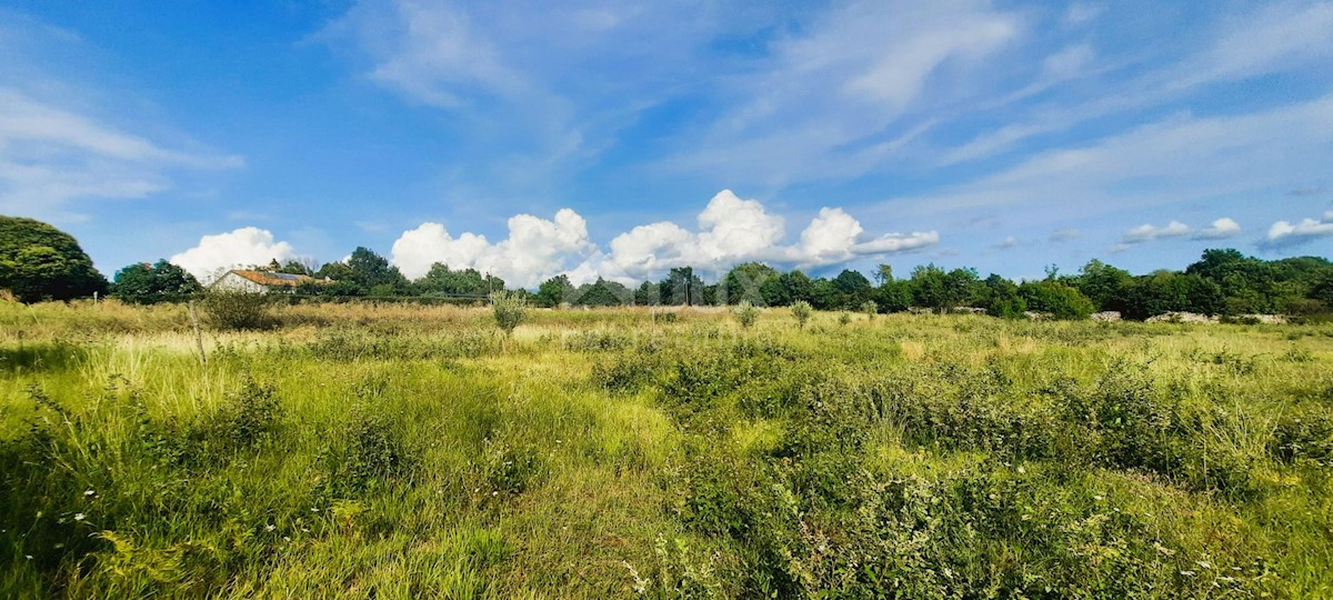 Terreno Kanfanar, 3.892m2