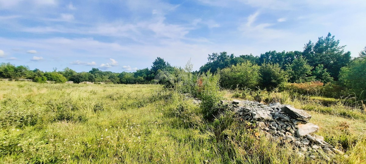 Terreno Kanfanar, 3.892m2