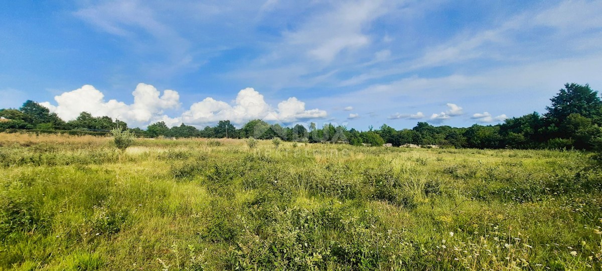 Terreno Kanfanar, 3.892m2