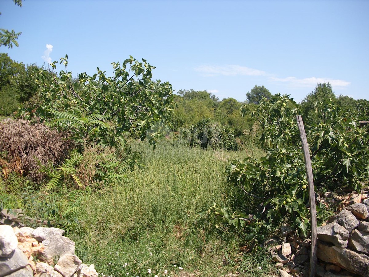 Terreno Kras, Dobrinj, 1.312m2
