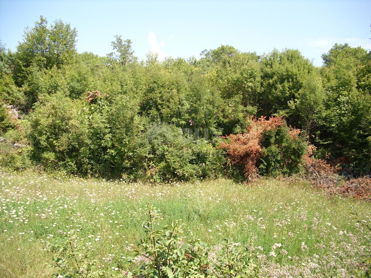Terreno Kras, Dobrinj, 1.312m2