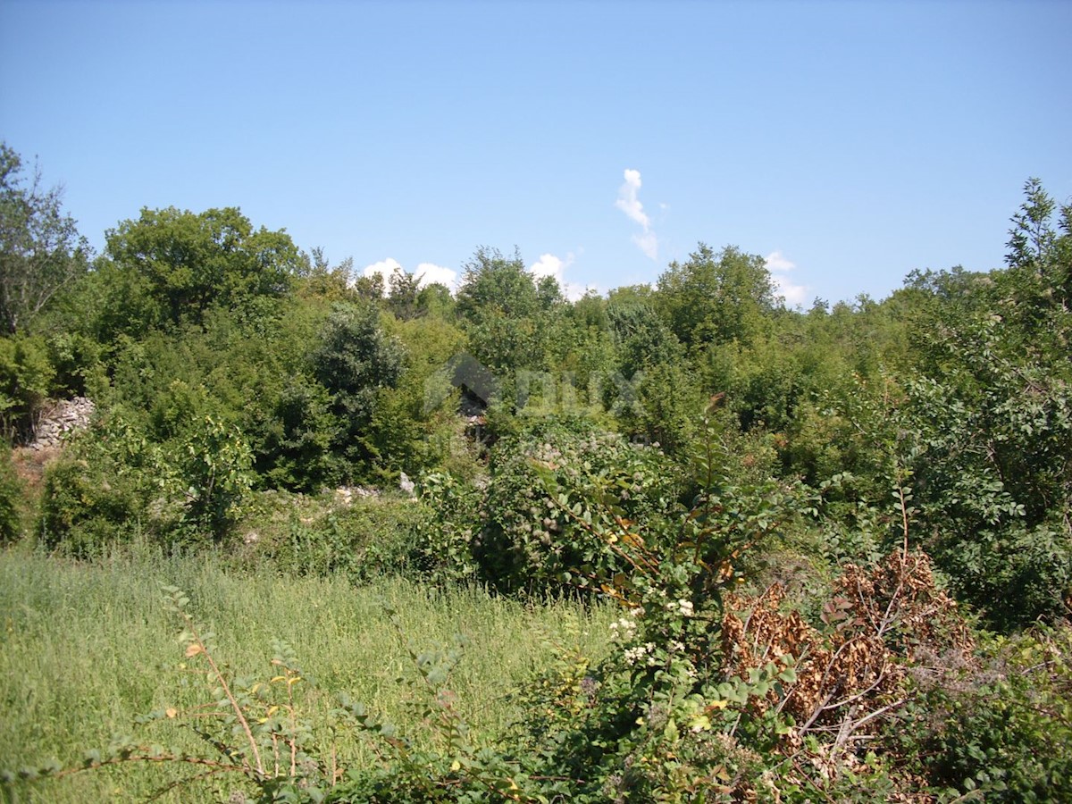 Terreno Kras, Dobrinj, 1.312m2
