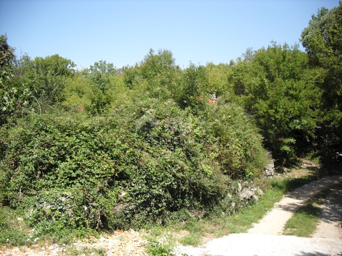 Terreno Kras, Dobrinj, 1.312m2