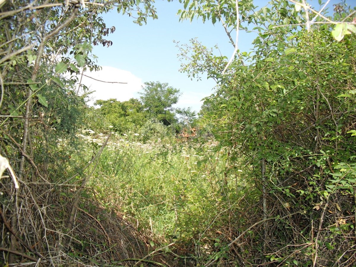 Terreno Kras, Dobrinj, 1.312m2